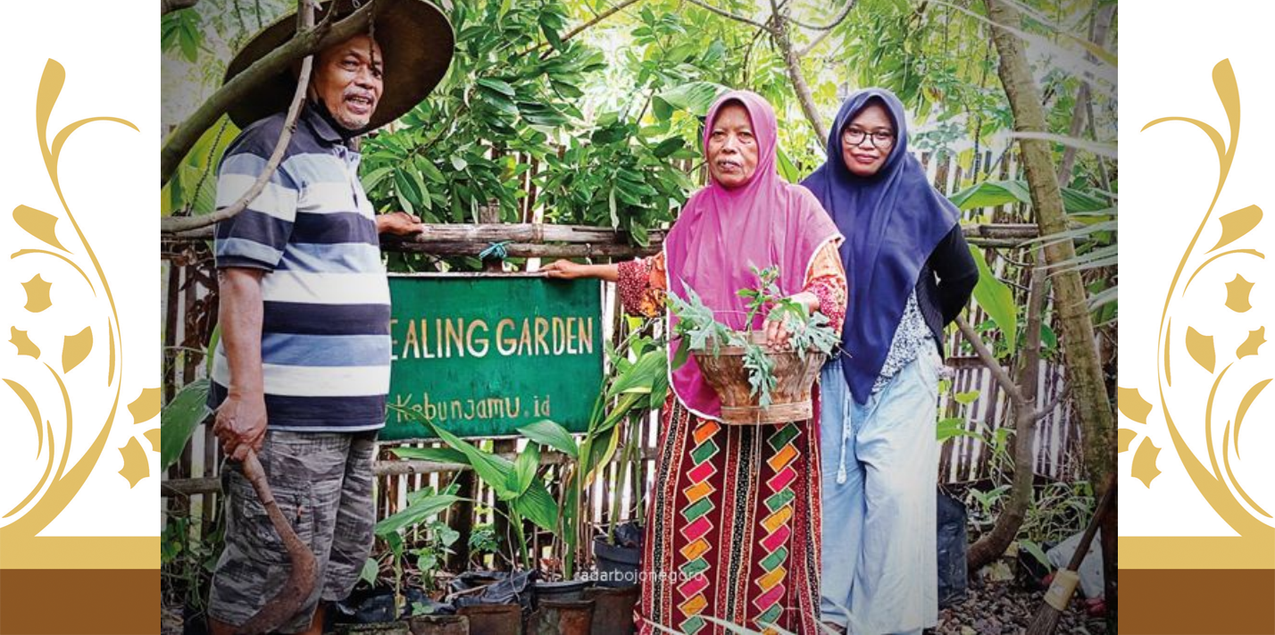 Makin Banyak IRT Budidaya Tanaman Obat